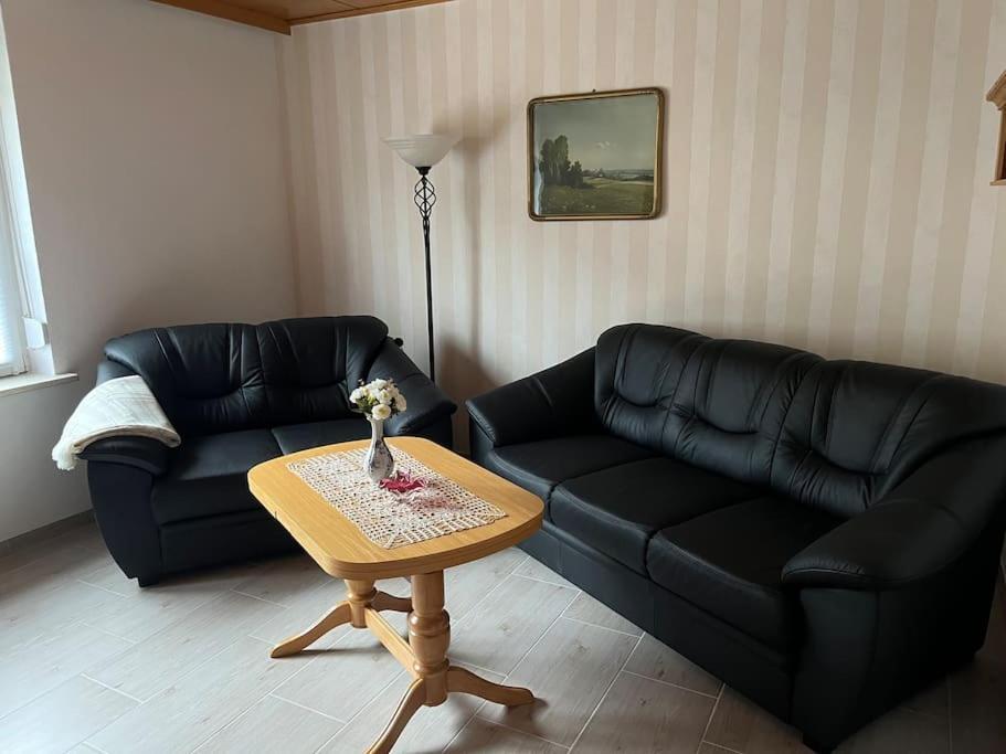Haus Bernsteinsee Mit Goitzsche-Schnuppersegeln Friedersdorf  Kültér fotó