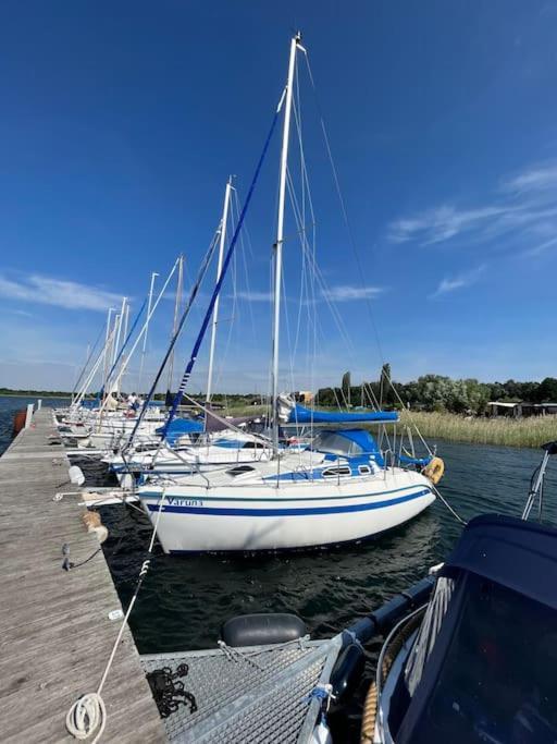 Haus Bernsteinsee Mit Goitzsche-Schnuppersegeln Friedersdorf  Kültér fotó